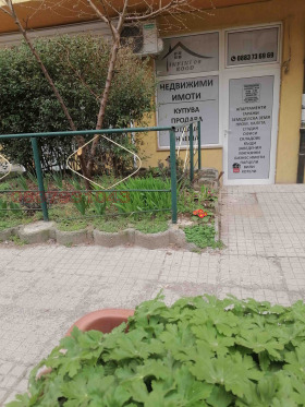 ����� ���� ��� ���� �������,���� �����, ������