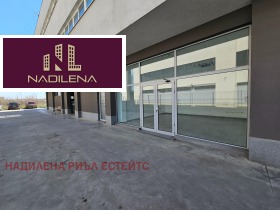 ������ ���� ��� ���� �������