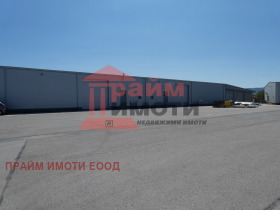 ������ ���� ��� ���� �����