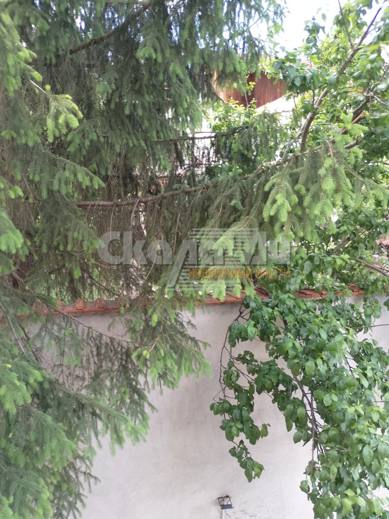 De inchiriat  1 dormitor Sofia , Carpuzița , 45 mp | 47381928 - imagine [11]
