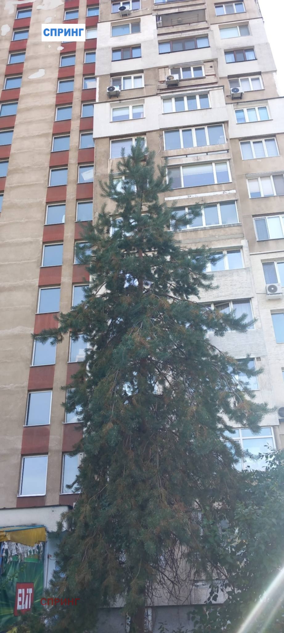 ���� ��� ���� 1-����� | Imot.bg � ����������� 1