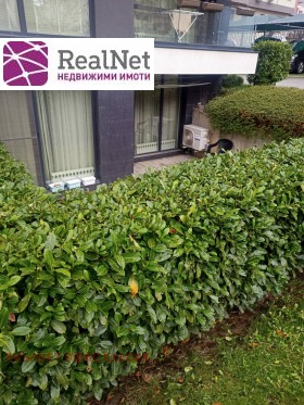 ����� ���� ��� ���� 2-�����,���� �����, ����������