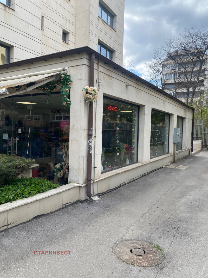 Til leje  Butik Sofia , Iztok , 110 kvm | 92424920