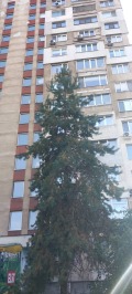 Дава под наем 1-СТАЕН, гр. София, Люлин 3, снимка 1