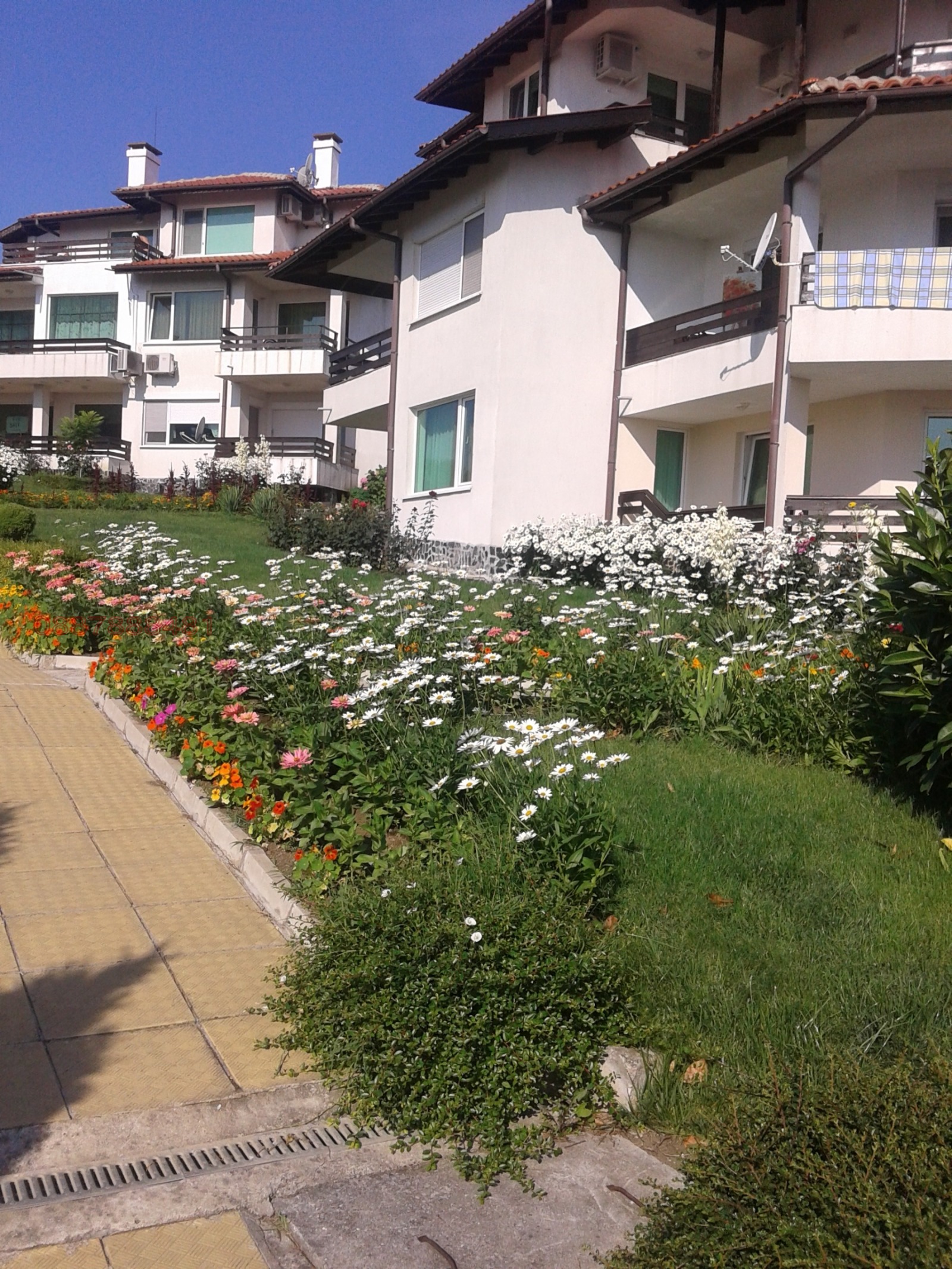 ���� ��� ���� 3-����� | Imot.bg � ����������� 10