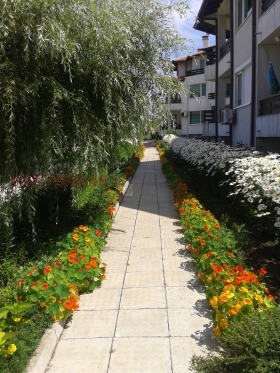 ���� ��� ���� 3-����� | Imot.bg � ����� ������ 14