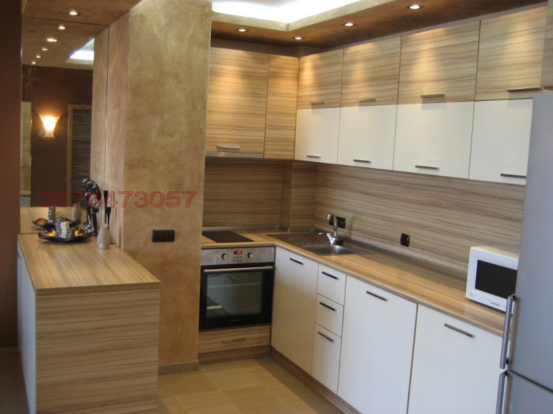 Издаје се  1 спаваћа соба Софија , Свобода , 72 м2 | 79865797 - слика [9]