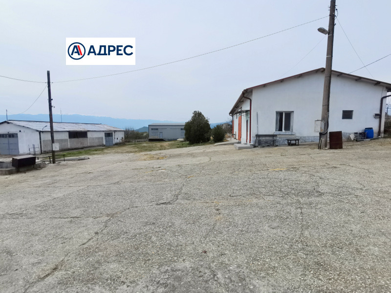 ���� ��� ���� ����� | Imot.bg � ����������� 13