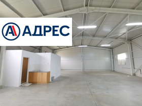 ������ ���� ��� ���� �����