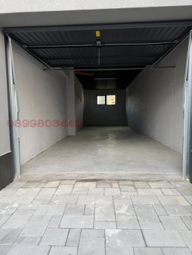 ����� ���� ��� ���� �����,���� �����, ����������� ������