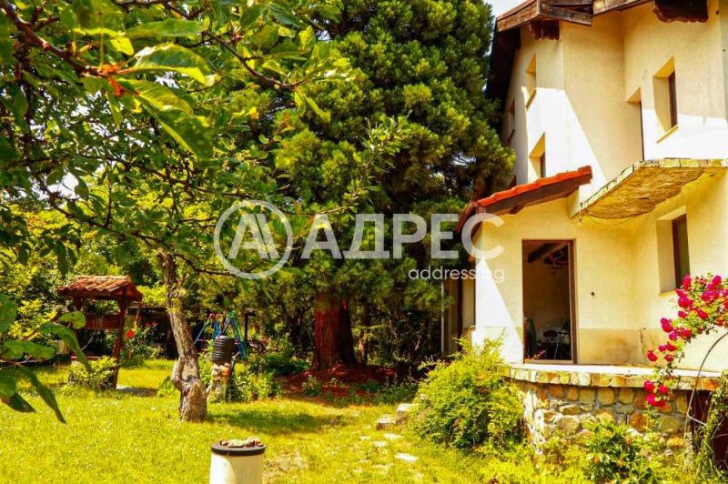 Til leie  Hus Sofia , m-t Kambanite , 514 kvm | 40337649 - bilde [12]