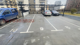 ������ ���� ��� ���� �����, ����������