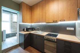 1 bedroom Tsentar, Sofia 5