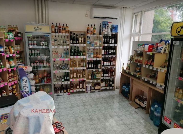 Дава под наем МАГАЗИН, гр. Пловдив, Тракия, снимка 3 - Магазини - 53678764