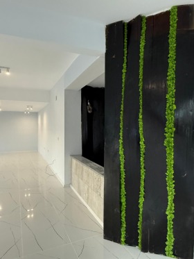 ����� ���� ��� ���� �������,���� ������, ������� ������