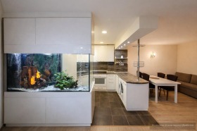 ����� ���� ��� ���� 3-�����,���� �����, ������� �������-��������