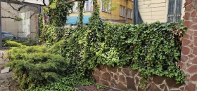 ���� ��� ���� ���� | Imot.bg � ����� ������ 10