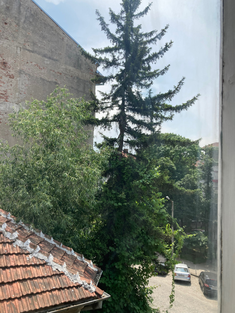 Kiadó  Stúdió Sofia , Javorov , 35 négyzetméter | 50561691 - kép [5]