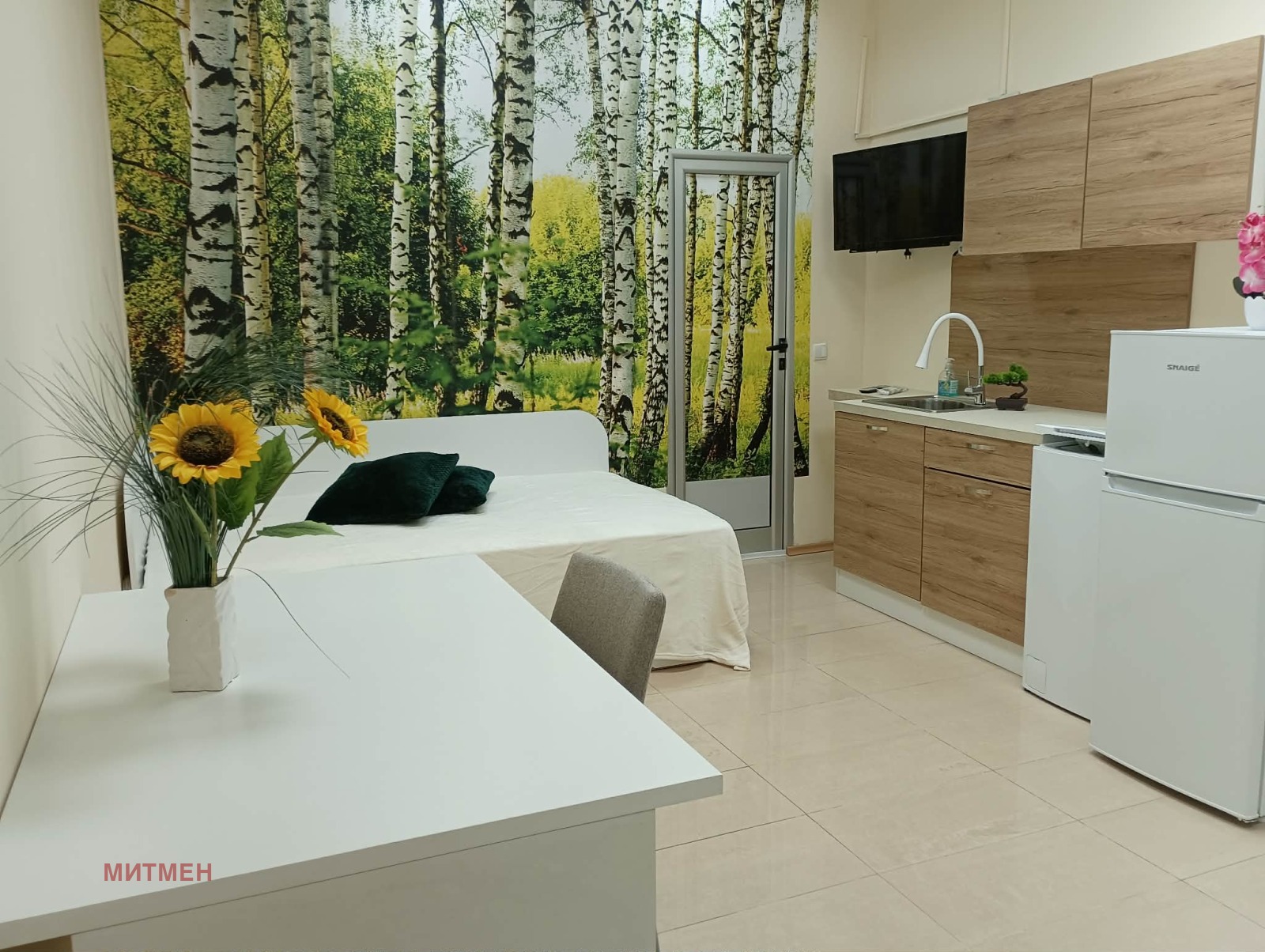 Дава под наем АТЕЛИЕ, ТАВАН, гр. София, област София-град