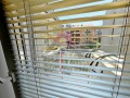 Под наем 2-СТАЕН, град Варна, Гранд Мол • 460 € • 84237633 — Holmes.bg