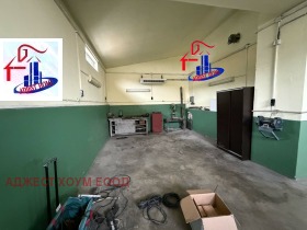 ����� ���� ��� ���� ����������,���� �����, ���������