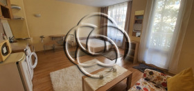 Studio Belite brezi, Sofia