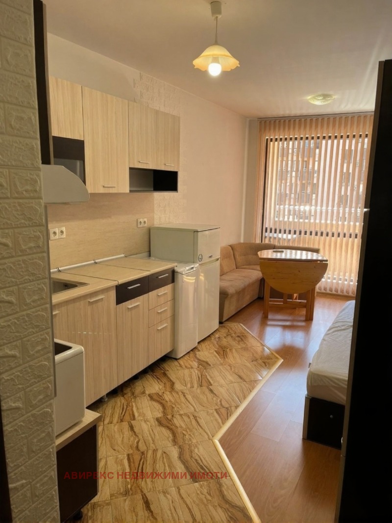 Дава под Наем 1-СТАЕН в град Пловдив, Кючук Париж - 30 кв.м / 270 € » 528.07 лв., АВИРЕКС НЕДВИЖИМИ ИМОТИ