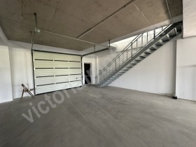 ����� ���� ��� ���� �����,���� ������ �������, ���������� ���� - ��