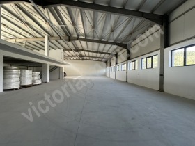 ����� ���� ��� ���� �����,���� ������ �������, ���������� ���� - ��