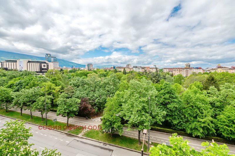 Издаје се  Канцеларија Софија , Центар , 300 м2 | 98133043 - слика [11]