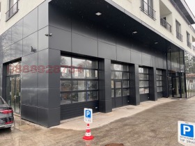 ����� ���� ��� ���� ����������,���� �����, ���������