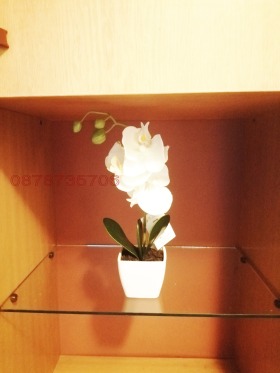   1- | Imot.bg    10