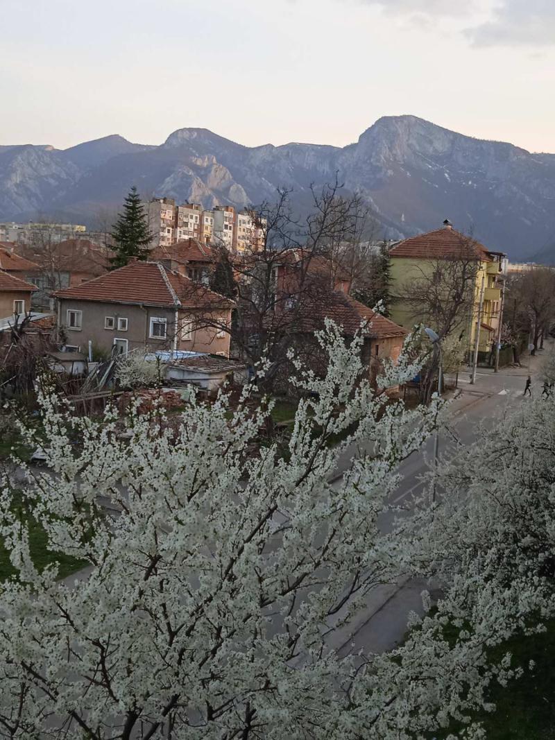 ���� ��� ���� 1-����� | Imot.bg � ����������� 16