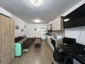 Studio Zentar, Warna
