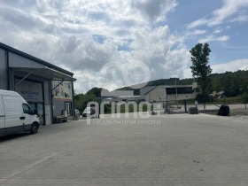 ����� ���� ��� ���� �����,���� ������ �������, ���������� ���� - �����