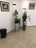 Дава под наем ОФИС, гр. София, Полигона, снимка 3