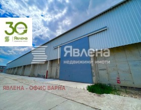 ������ ���� ��� ���� �����