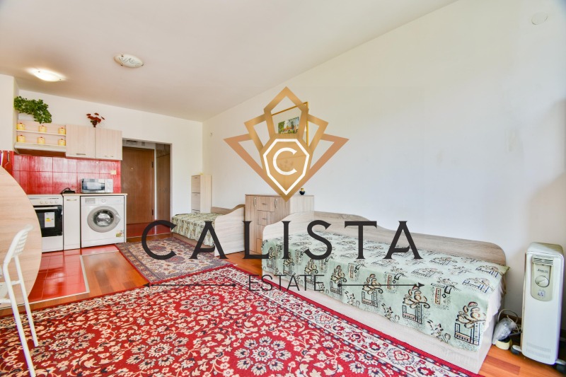 K pronájmu  Studio Sofia , Vitoša , 42 m2 | 85823931 - obraz [11]