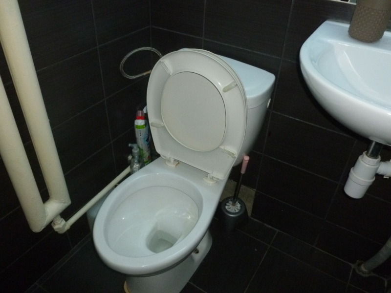 Til leie  Studio Sofia , Ovsja kupel 2 , 45 kvm | 74528937 - bilde [3]