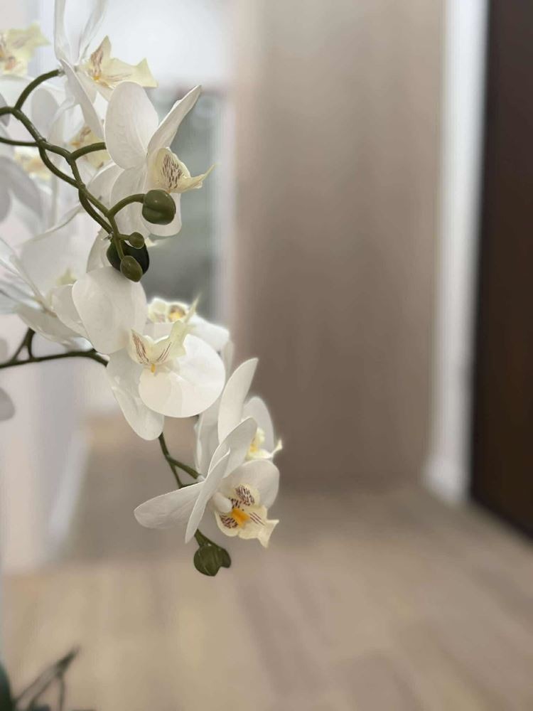 ���� ��� ���� 3-����� | Imot.bg � ����������� 16