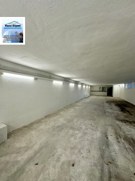 ����� ���� ��� ���� �����,���� �����, �������