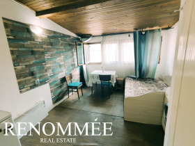 For Rent Attic