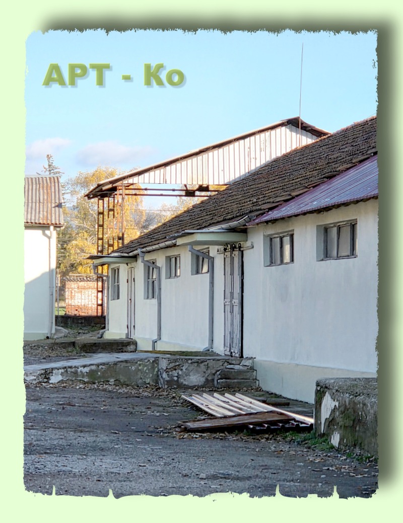 Дава под наем ПРОМ. ПОМЕЩЕНИЕ, гр. Радомир, област Перник, снимка 3 - Производствени сгради - 52403635