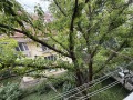 Под наем 3-СТАЕН, град София, Център • 799 € • 53603007 — Holmes.bg