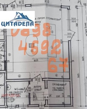 ������ ���� ��� ���� �������