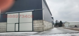 ����� ���� ��� ���� �����,�. ������� ����, ������ ����