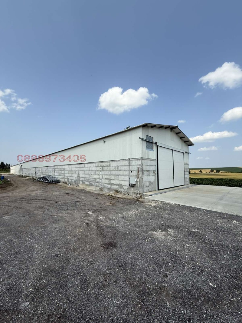 Дава под наем СКЛАД, с. Червена вода, област Русе, снимка 3 - Складове - 53580986