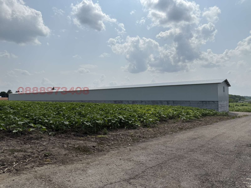 Дава под наем СКЛАД, с. Червена вода, област Русе, снимка 8 - Складове - 53580986