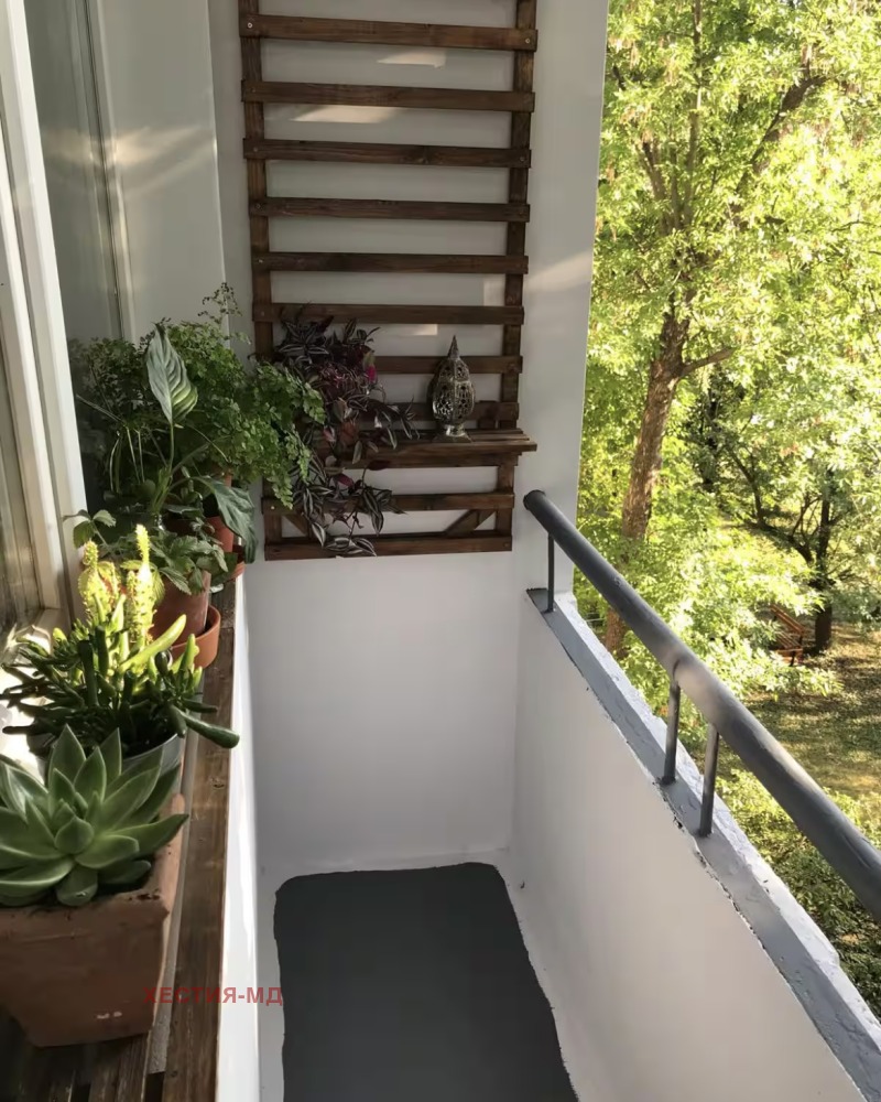 För uthyrning  Studio Sofia , Zapaden park , 40 kvm | 68560661 - bild [12]