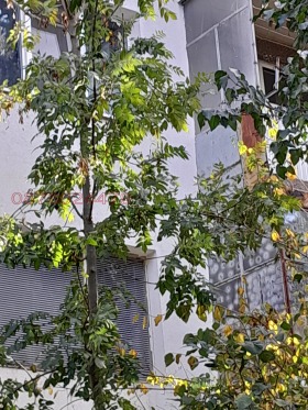 ���� ��� ���� 1-����� | Imot.bg � ����� ������ 7